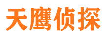 西峡市私家侦探